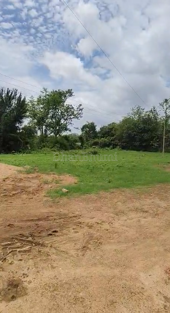 property_images/agricultural_in_raipur_1783936336_6a54b5508c981.PNG