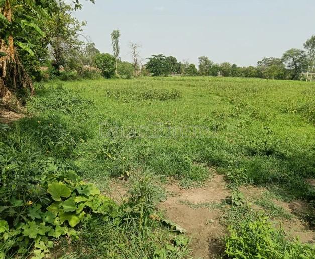 property_images/agricultural_in_raipur_1784292188_6a5a235c40a0f.jpg