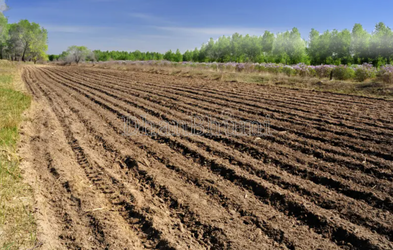 property_images/agricultural_in_raipur_1787032017_6a83f1d19ee3e.png