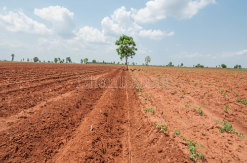 property_images/agricultural_in_raipur_1787032934_6a83f5660c1f1.png