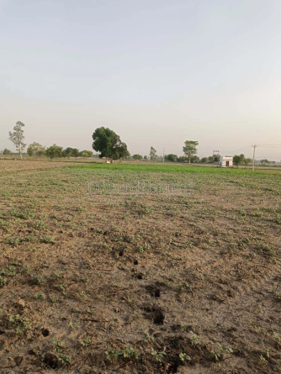 property_images/agricultural_in_raipur_1789378234_6aa7bebaa8138.PNG