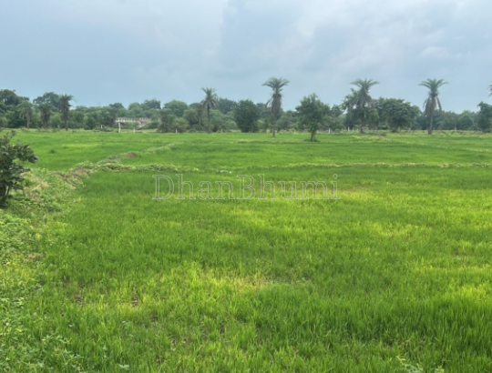 property_images/agricultural_in_raipur_1790320368_6ab61ef0314e6.PNG