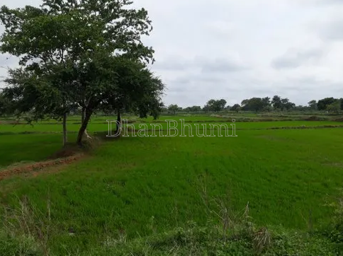 property_images/agricultural_in_raipur_1790320758_6ab62076a6b8a.PNG