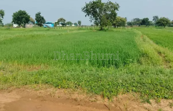 property_images/agricultural_in_raipur_1790323108_6ab629a474326.PNG