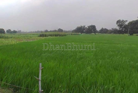 property_images/agricultural_in_raipur_1790326793_6ab638095298a.PNG