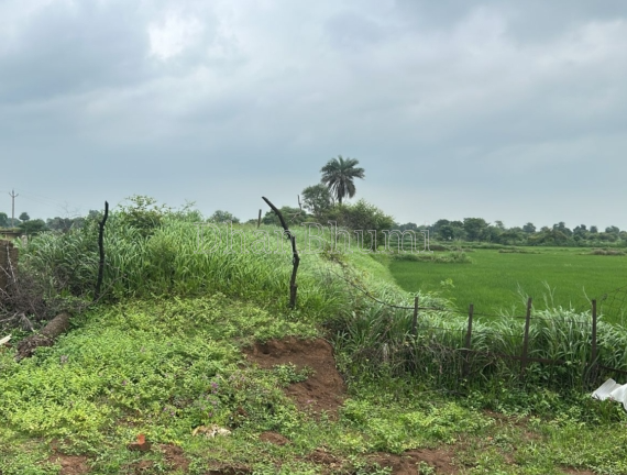 property_images/agricultural_in_raipur_1790332475_6ab64e3b2091b.PNG