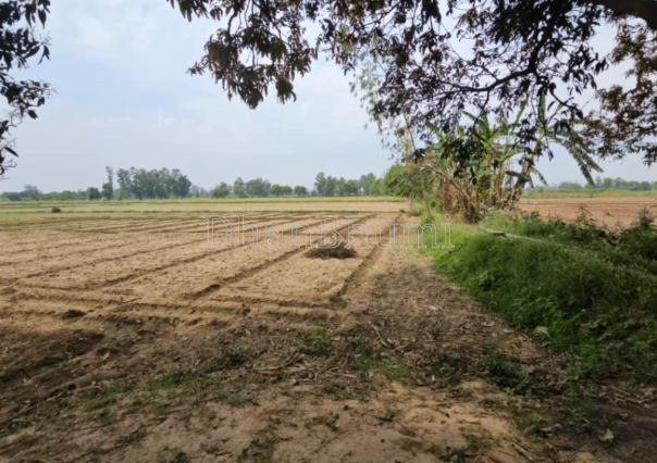 property_images/agricultural_in_raipur_1790335852_6ab65b6c4b15f.PNG