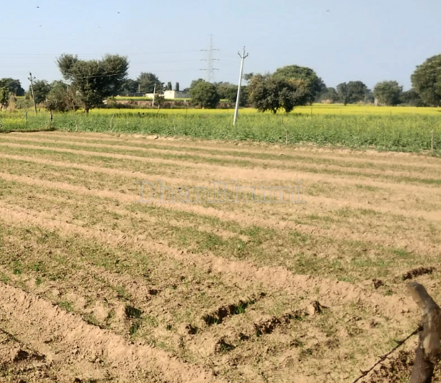 property_images/agricultural_in_raipur_1790336271_6ab65d0f51ff9.PNG