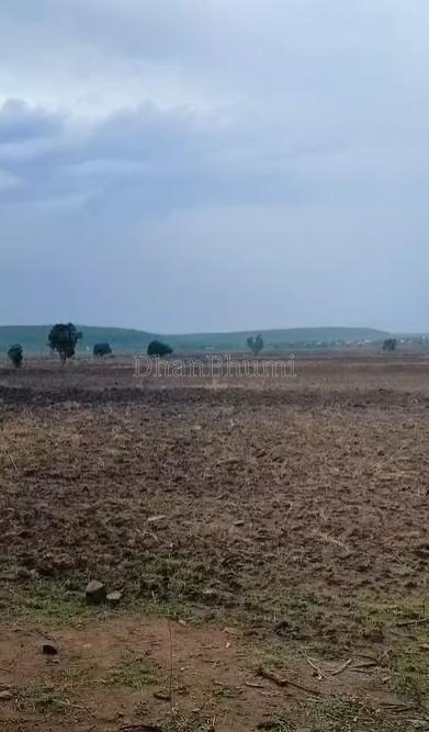 property_images/agricultural_in_raisen_1782374236_6a3cdf5c5696a.jpg