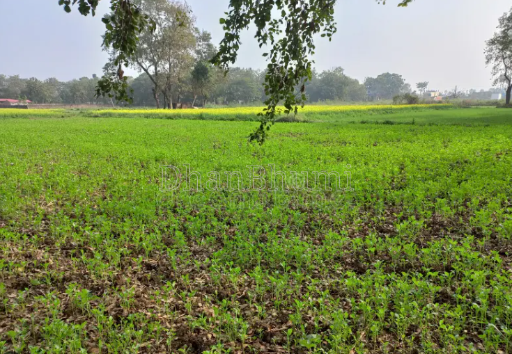 property_images/agricultural_in_raisen_1785924497_6a730b910ad0b.PNG