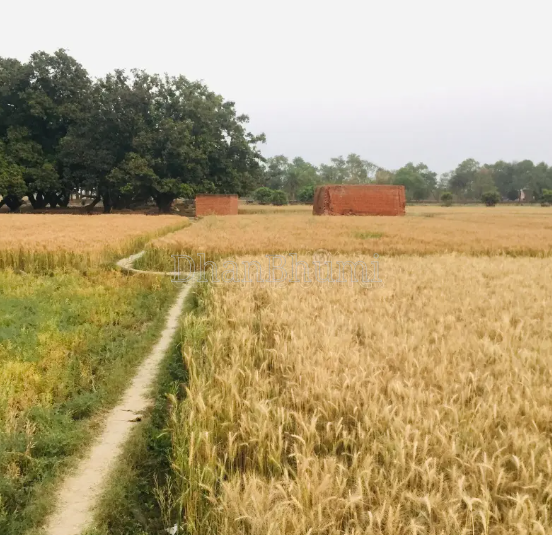 property_images/agricultural_in_raisen_1785926076_6a7311bc34c36.PNG