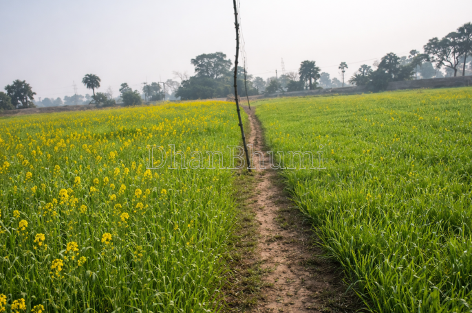 property_images/agricultural_in_raisen_1785927004_6a73155c007b6.PNG
