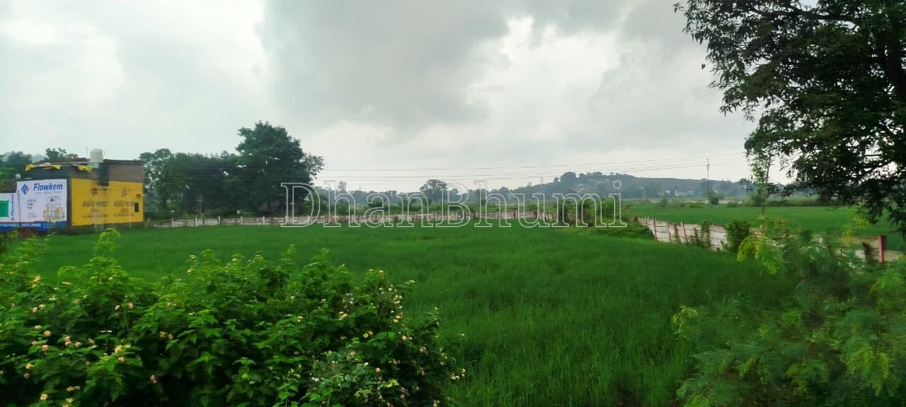 property_images/agricultural_in_raisen_1791529148_6ac890bc21c6e.jpeg