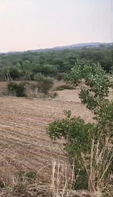 property_images/agricultural_in_rajgarh_1782200080_6a3a3710e9b2a.jpg