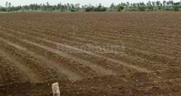 property_images/agricultural_in_rajgarh_1789536432_6aaa28b01d311.png