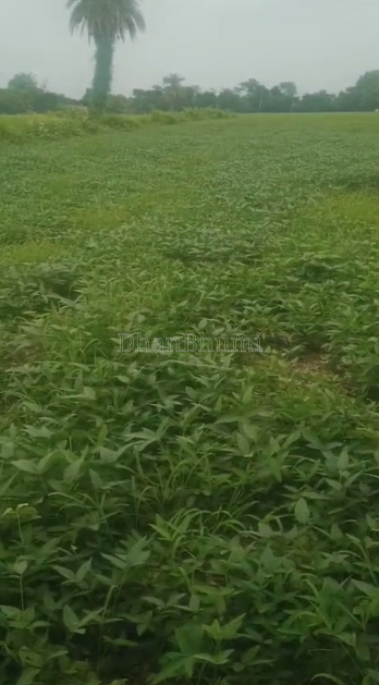 property_images/agricultural_in_rajgarh_madhya_pradesh_1788604314_6a9bef9acfe01.PNG