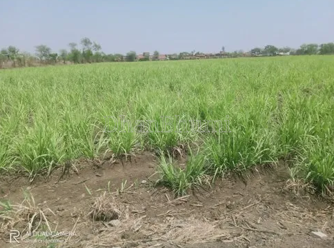 property_images/agricultural_in_rajkot_1785750593_6a7064418abfc.PNG