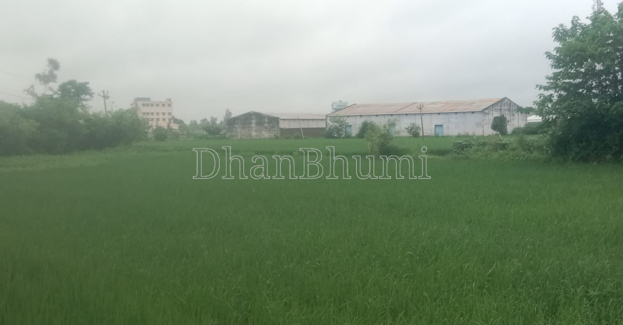 property_images/agricultural_in_rampur_1787046490_6a842a5a6b093.png