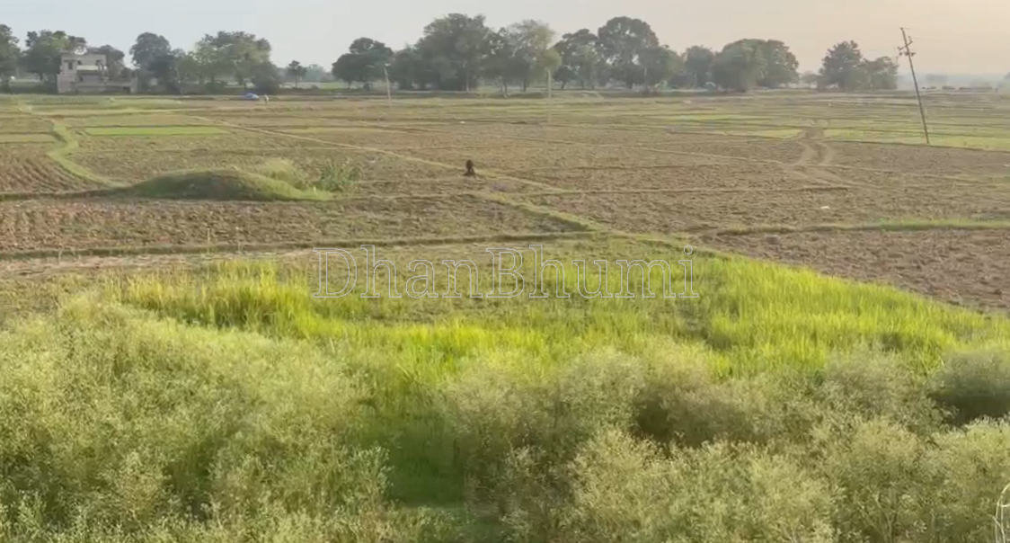 property_images/agricultural_in_ranchi_1792044316_6ad06d1c26f75.png