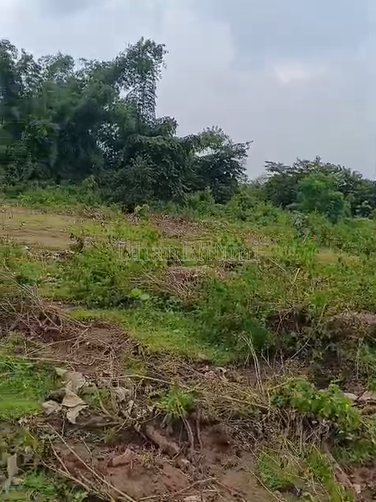 property_images/agricultural_in_ranchi_1792045843_6ad0731359e1b.png