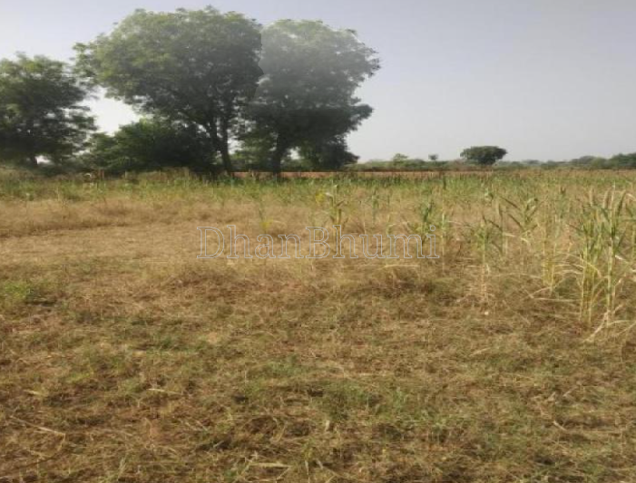 property_images/agricultural_in_ratlam_1787206352_6a869ad063b28.png