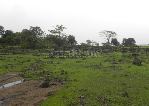 property_images/agricultural_in_ratnagiri_1783934358_6a54ad96af256.png