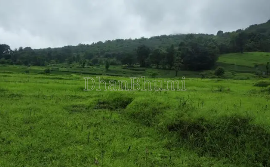 property_images/agricultural_in_ratnagiri_1783934358_6a54ad96c446e.png