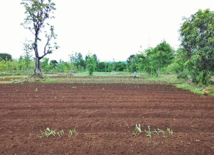 property_images/agricultural_in_ratnagiri_1788340190_6a97e7deac2bb.png