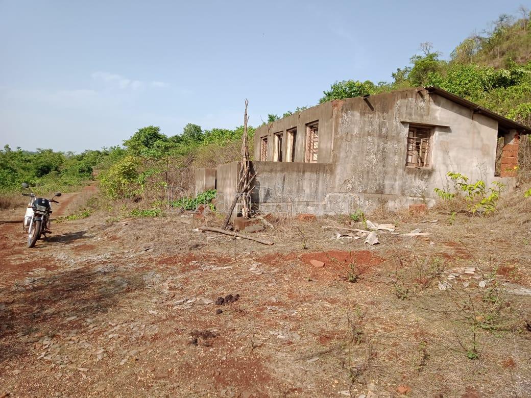 property_images/agricultural_in_ratnagiri_1788408433_6a98f27191f2d.jpg