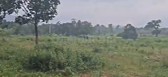 property_images/agricultural_in_rayagada_1791866200_6acdb5582b90e.png