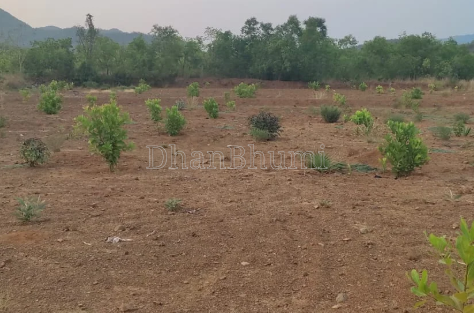 property_images/agricultural_in_rayagada_1791866696_6acdb74846f9f.png