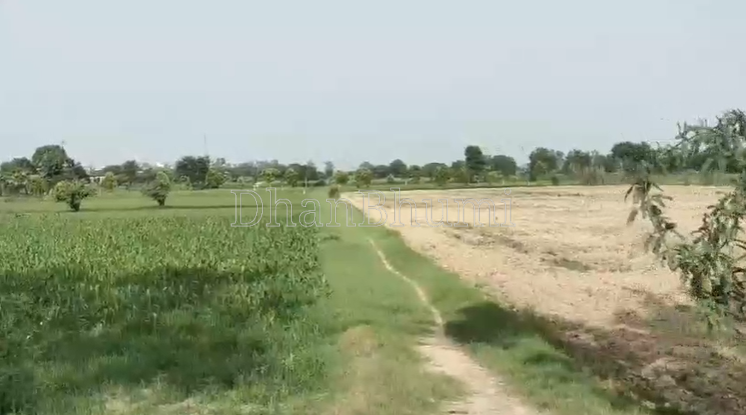 property_images/agricultural_in_rewari_1788773671_6a9e8527cd225.png