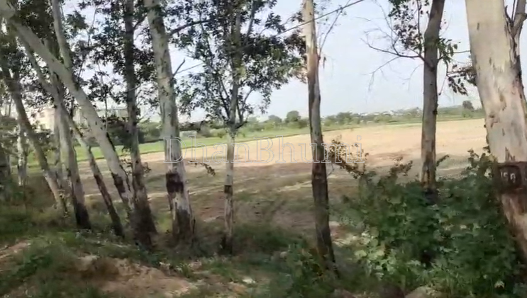 property_images/agricultural_in_rewari_1788773671_6a9e8527ea2fc.png