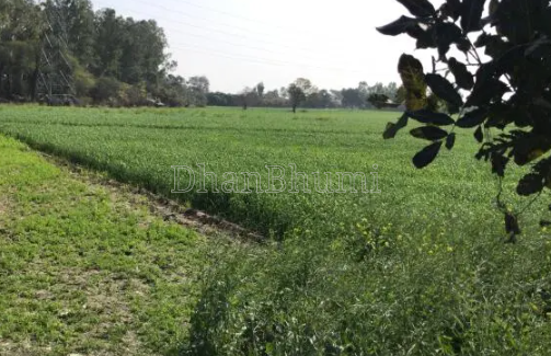 property_images/agricultural_in_rishikesh_1785305425_6a6999516ff71.png