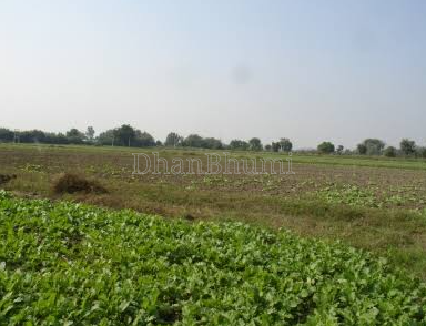 property_images/agricultural_in_rohtak_1784545096_6a5dff483eab2.PNG