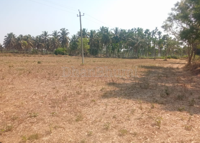property_images/agricultural_in_rohtak_1792218187_6ad3144b355f2.png