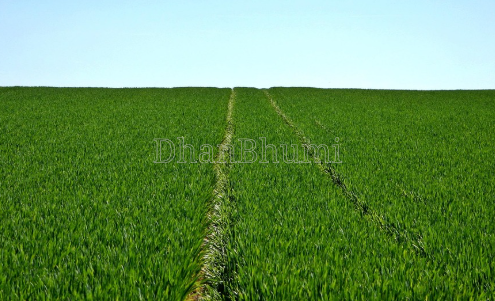 property_images/agricultural_in_rohtak_1792218443_6ad3154bc179d.png
