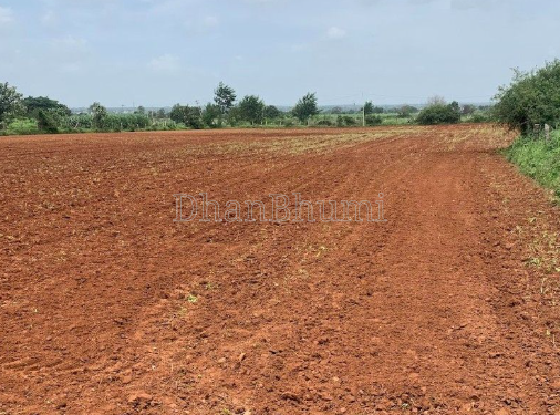 property_images/agricultural_in_rohtak_1792219313_6ad318b1883a5.png