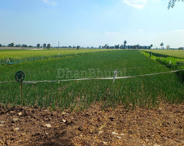 property_images/agricultural_in_rourkela_1787301380_6a880e0494c76.PNG