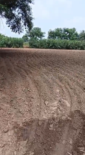 property_images/agricultural_in_rupnagar_1788940641_6aa11161721d7.PNG