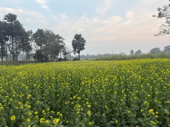 property_images/agricultural_in_sagar_1785926641_6a7313f1a1d5b.PNG