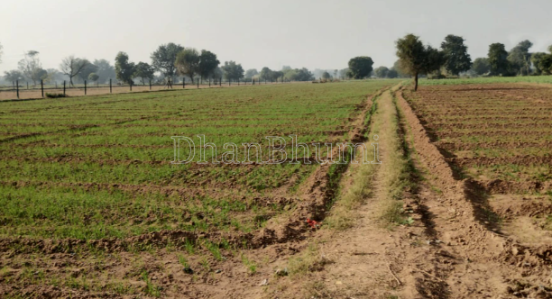 property_images/agricultural_in_sagar_1785927724_6a73182c4bc04.PNG