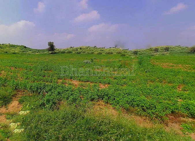 property_images/agricultural_in_sagar_1786014587_6a746b7b99e05.PNG