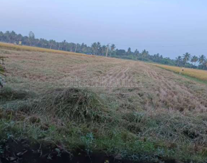 property_images/agricultural_in_sagar_1788158923_6a9523cbf018c.png