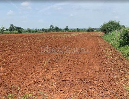property_images/agricultural_in_sagar_1791358849_6ac5f78111101.png