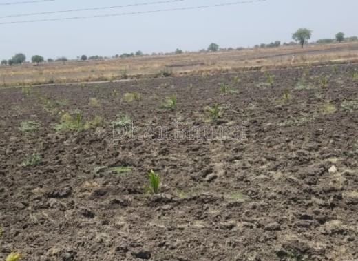 property_images/agricultural_in_saharanpur_1782127441_6a391b517c86f.jpg