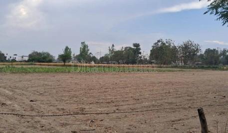 property_images/agricultural_in_saharanpur_1782976520_6a461008a5e41.jpg