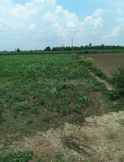 property_images/agricultural_in_saharanpur_1784636947_6a5f6613daba0.PNG