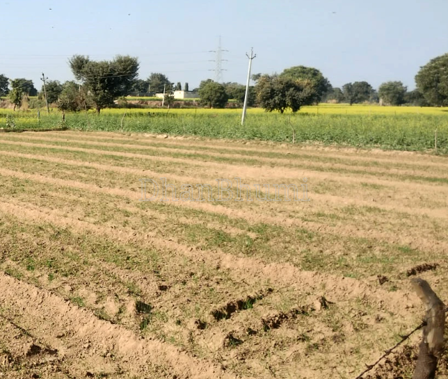 property_images/agricultural_in_saharanpur_1784637525_6a5f68552fc8b.PNG