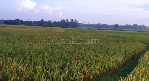 property_images/agricultural_in_saharanpur_1785922669_6a73046de61fd.png